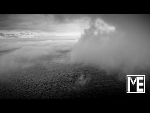 Meister Ehder Album Teaser